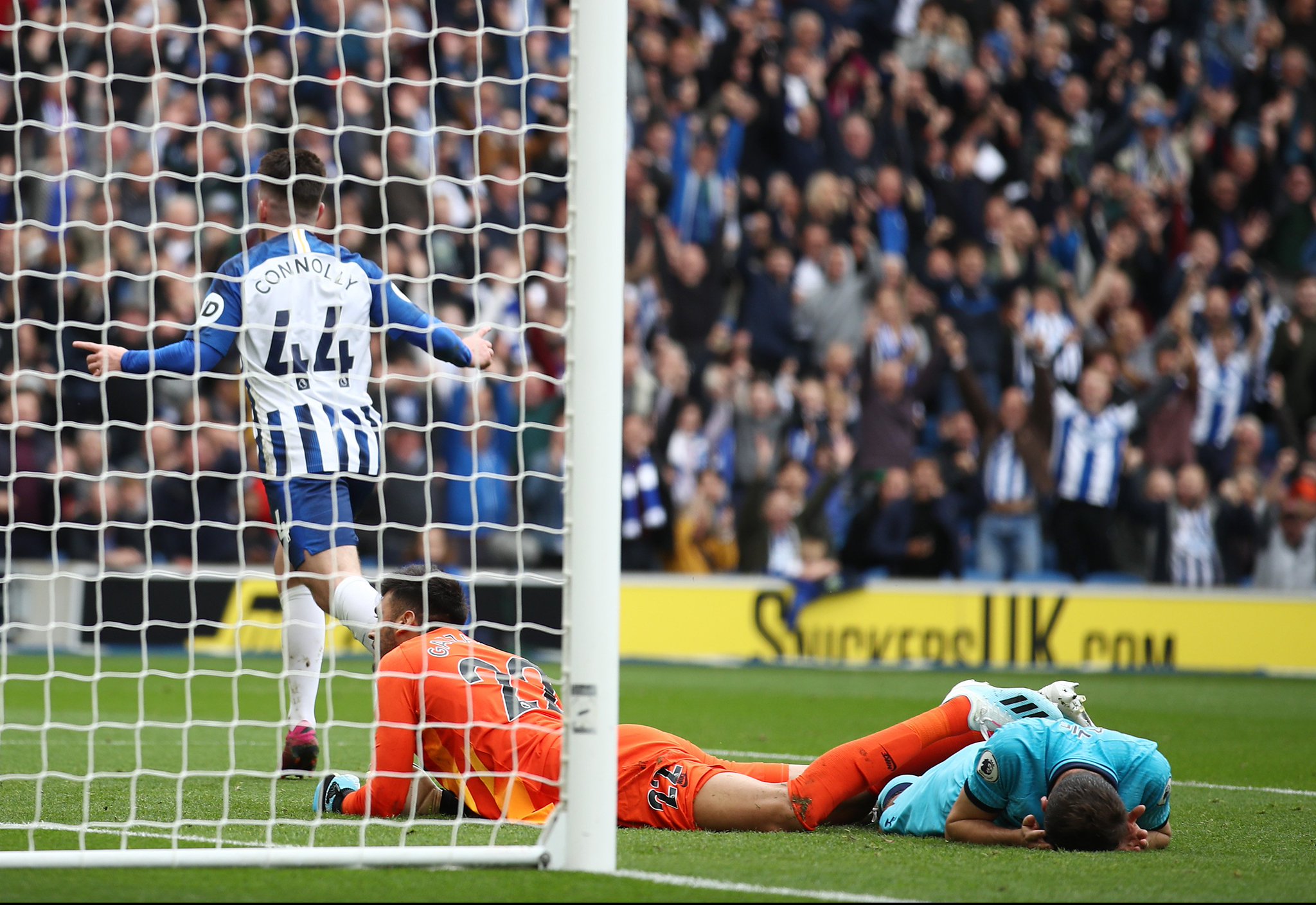 拔的体育精 拔的体育精